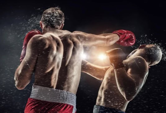 เว็บแทงมวย